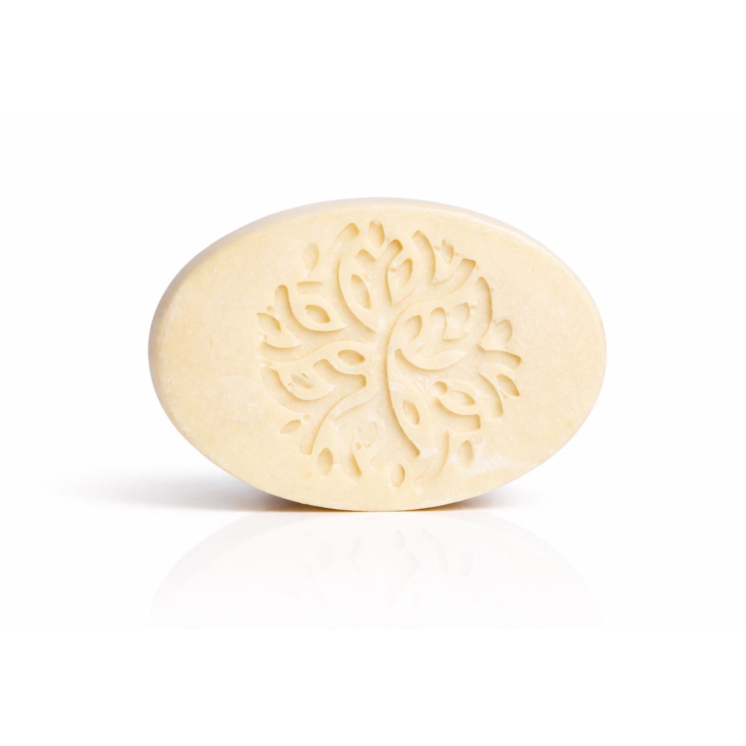 Cream-Soap Ganoderma and Black Cumin